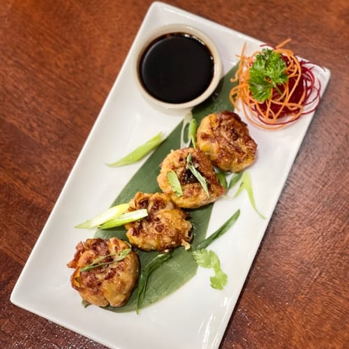 Chicken Dumplings.